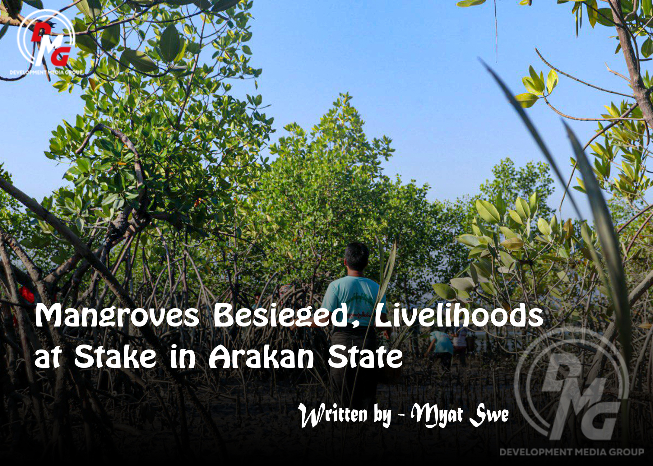Mangroves Besieged, Livelihoods at Stake in Arakan State